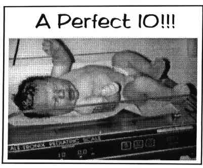 [10 lb BABY]